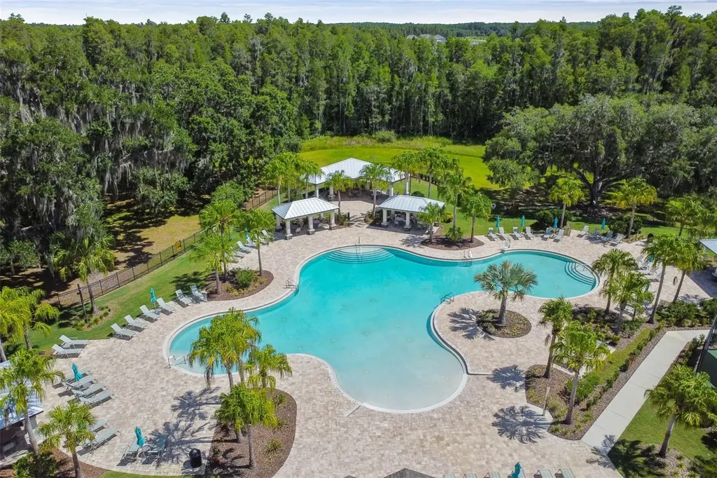 10742 New Morning Drive Tampa FL 33647