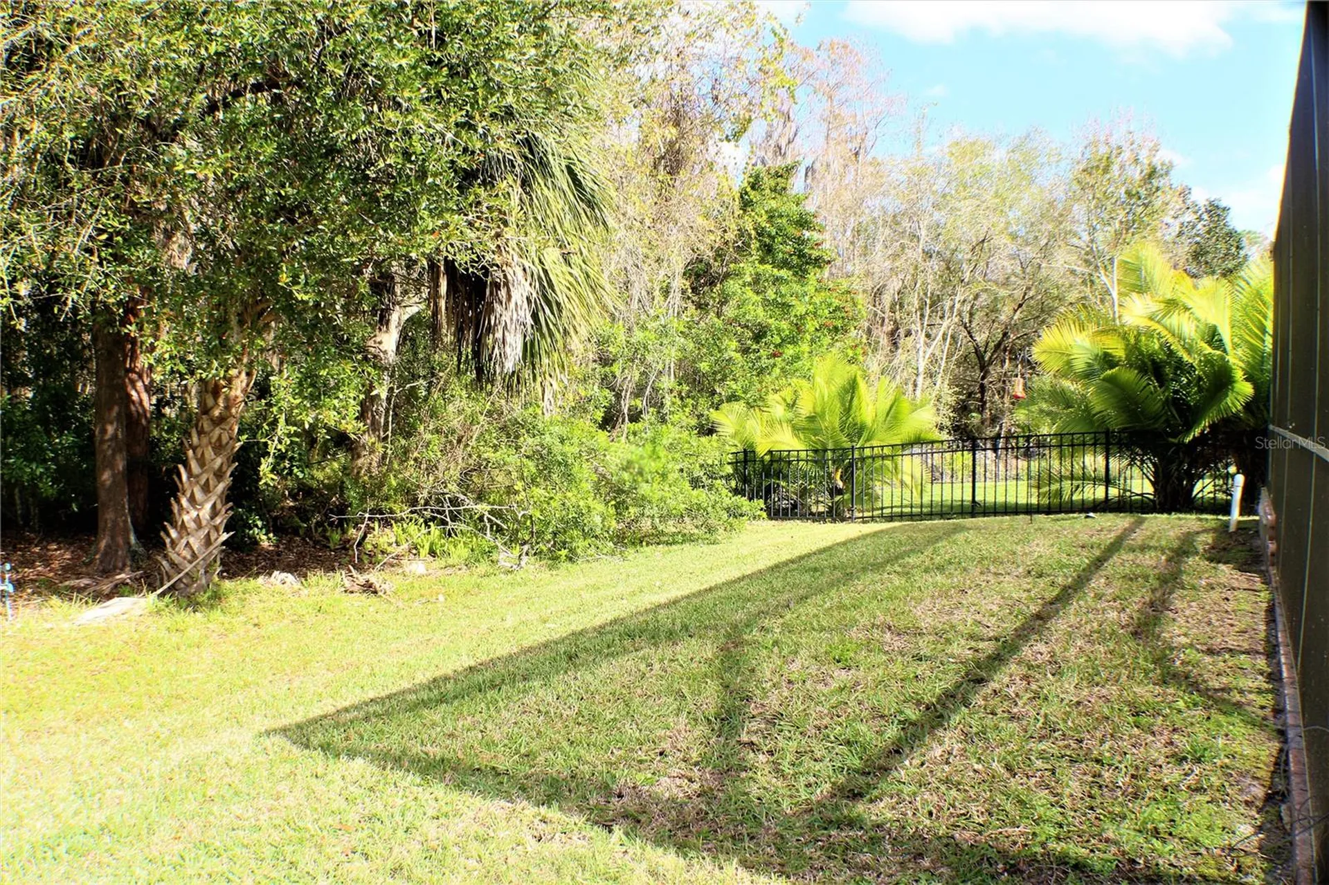 11609 Greensleeve Avenue Tampa FL 33626