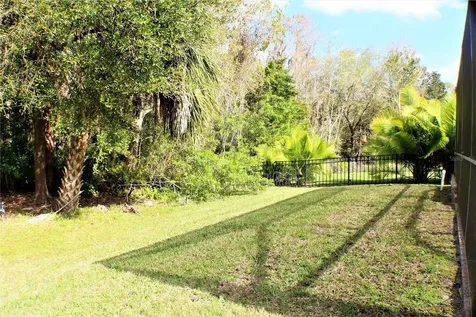 11609 Greensleeve Avenue Tampa FL 33626