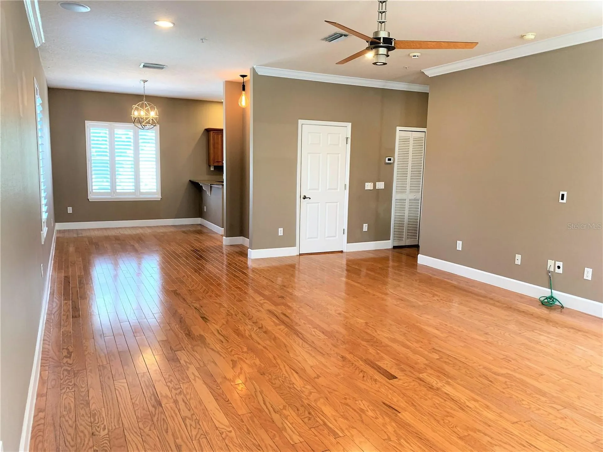 601 Casabella Circle Tampa FL 33609