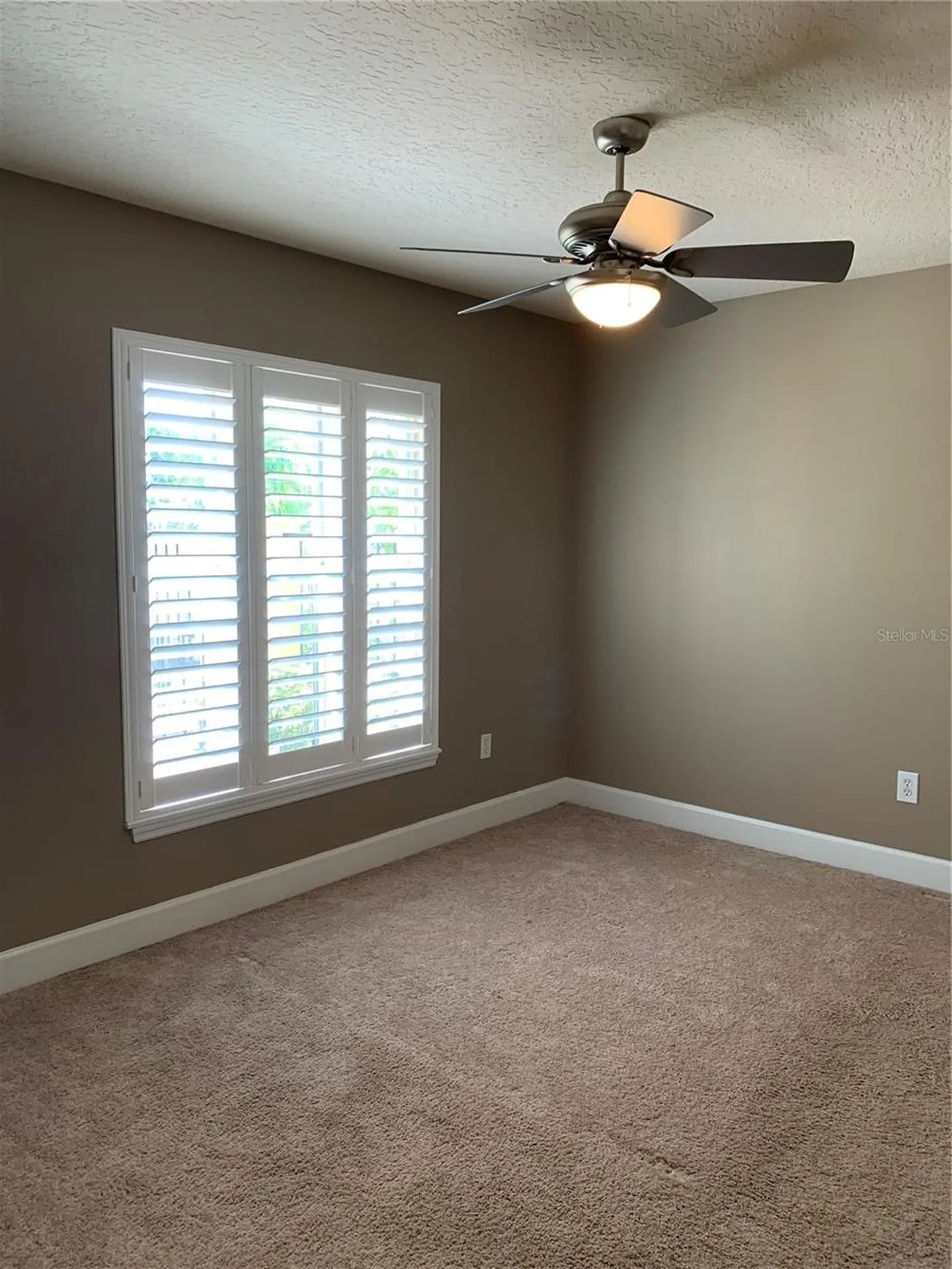 601 Casabella Circle Tampa FL 33609