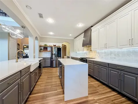 14591 Black Quill Drive Winter Garden FL 34787
