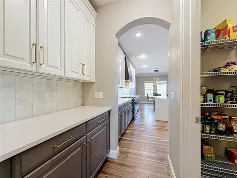 14591 Black Quill Drive Winter Garden FL 34787