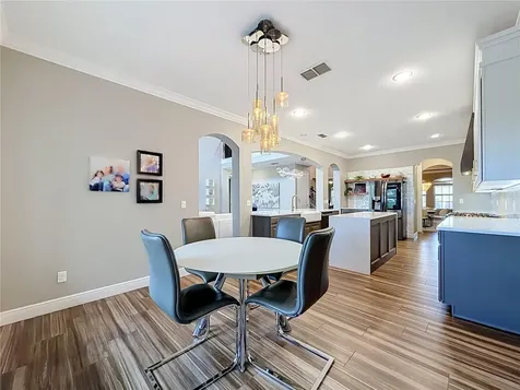14591 Black Quill Drive Winter Garden FL 34787