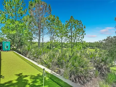 14591 Black Quill Drive Winter Garden FL 34787