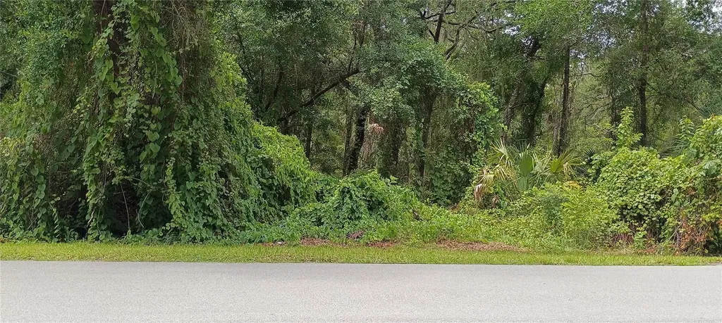1876 Blackwelder Road De Leon Springs FL 32130