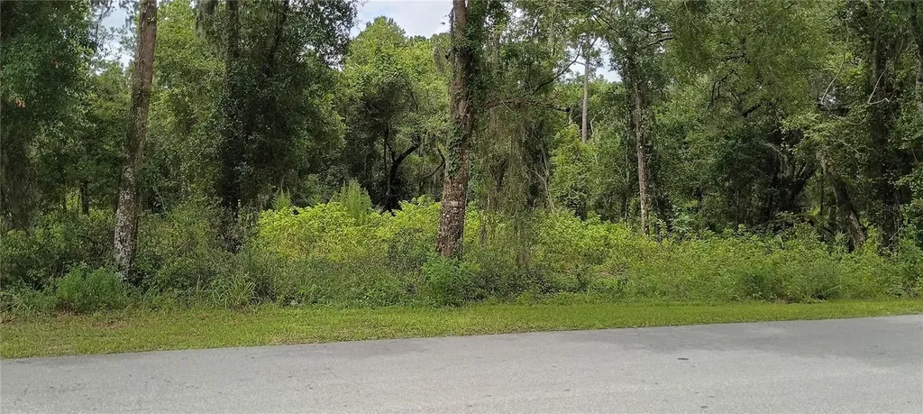 1876 Blackwelder Road De Leon Springs FL 32130