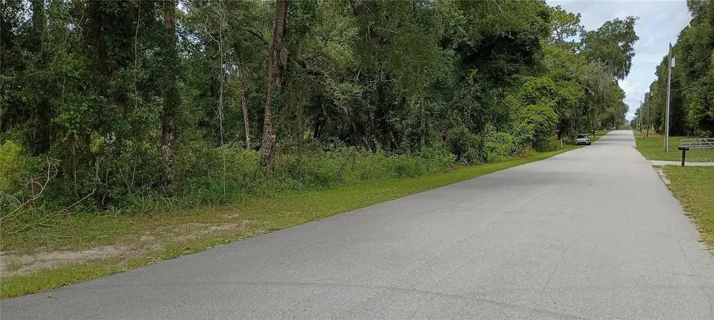 1876 Blackwelder Road De Leon Springs FL 32130