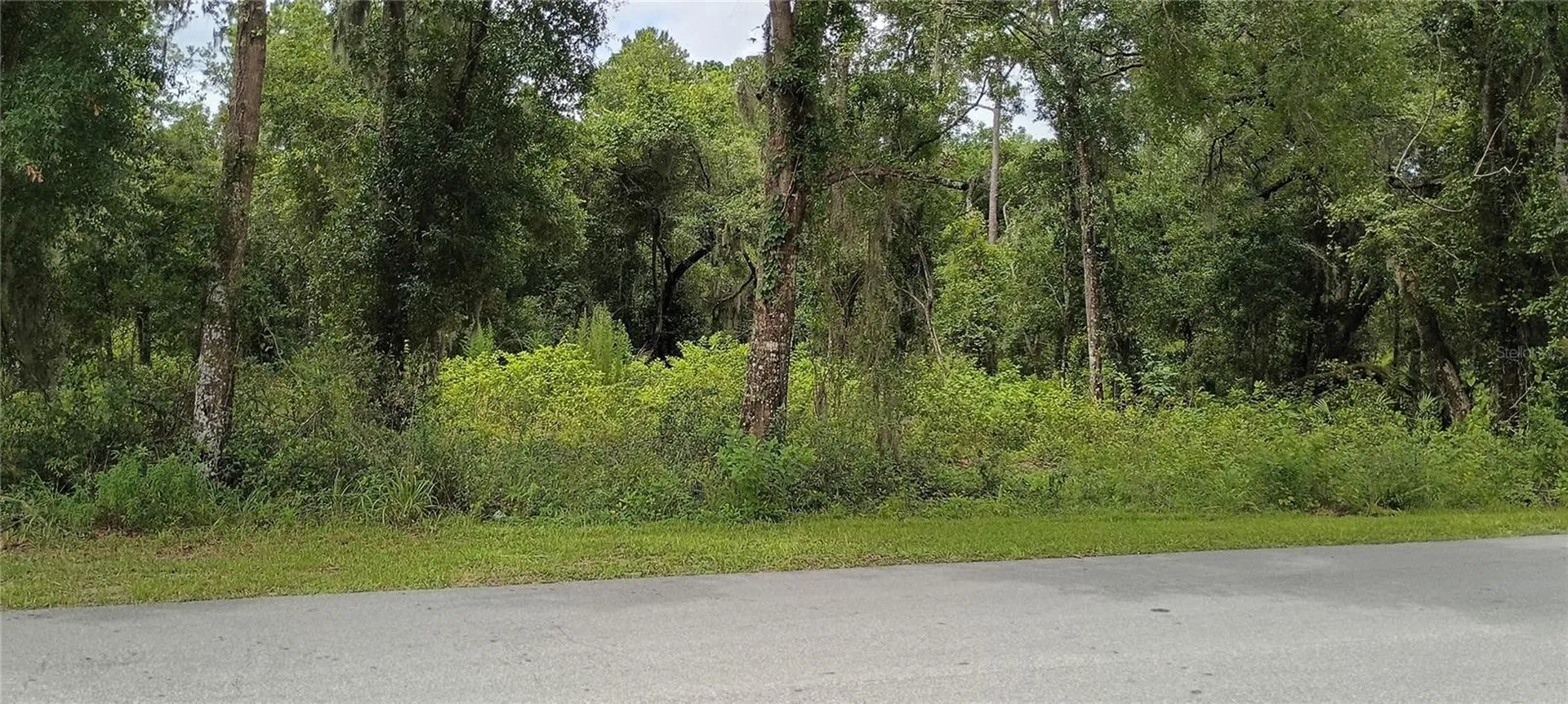 1876 Blackwelder Road De Leon Springs FL 32130