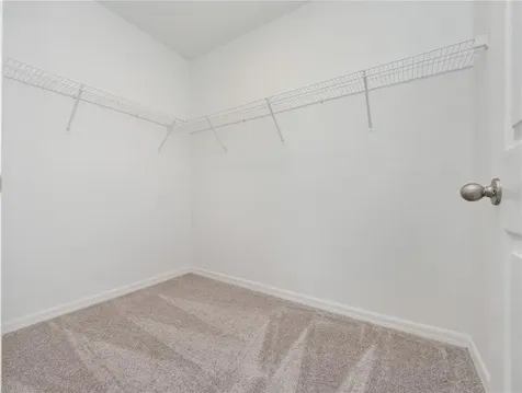 2606 Irish Elk Avenue Davenport FL 33837