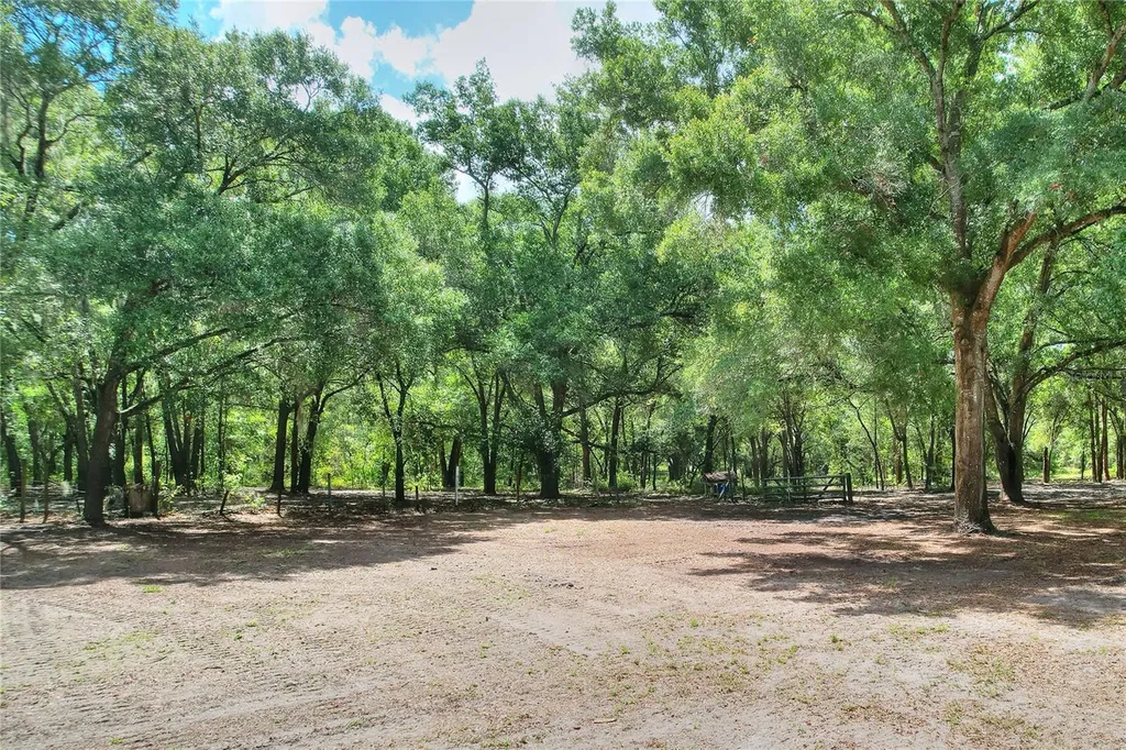 11000 Kitten Trail Hudson FL 34669