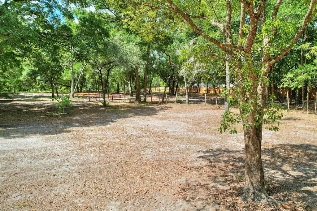 11000 Kitten Trail Hudson FL 34669