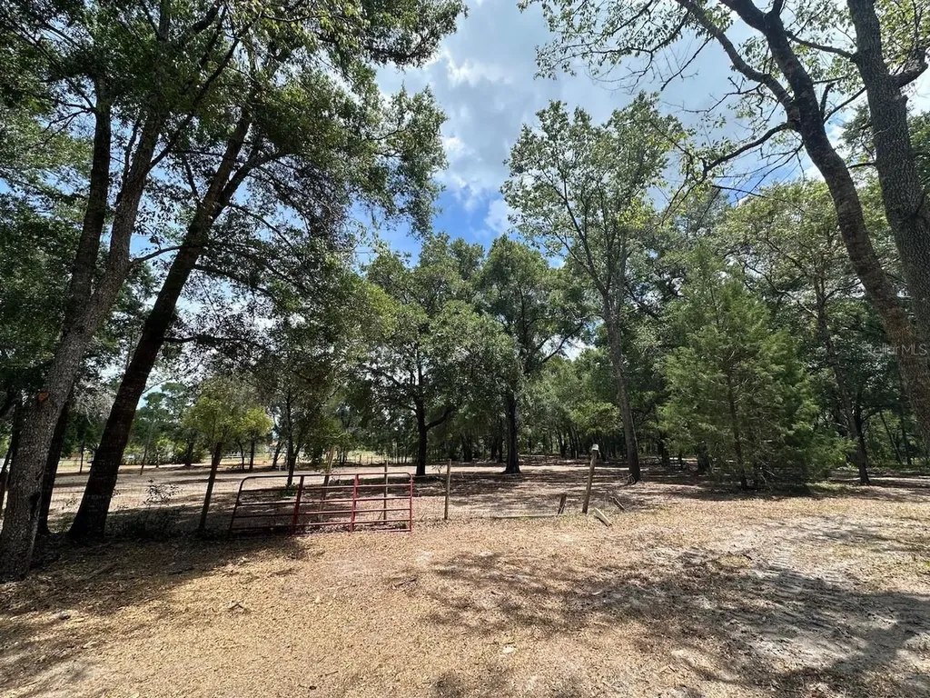 11000 Kitten Trail Hudson FL 34669