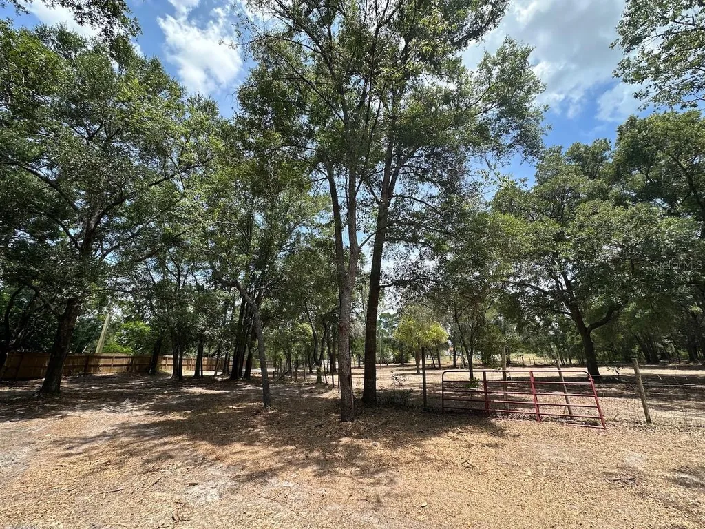 11000 Kitten Trail Hudson FL 34669