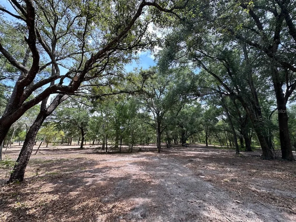 11000 Kitten Trail Hudson FL 34669