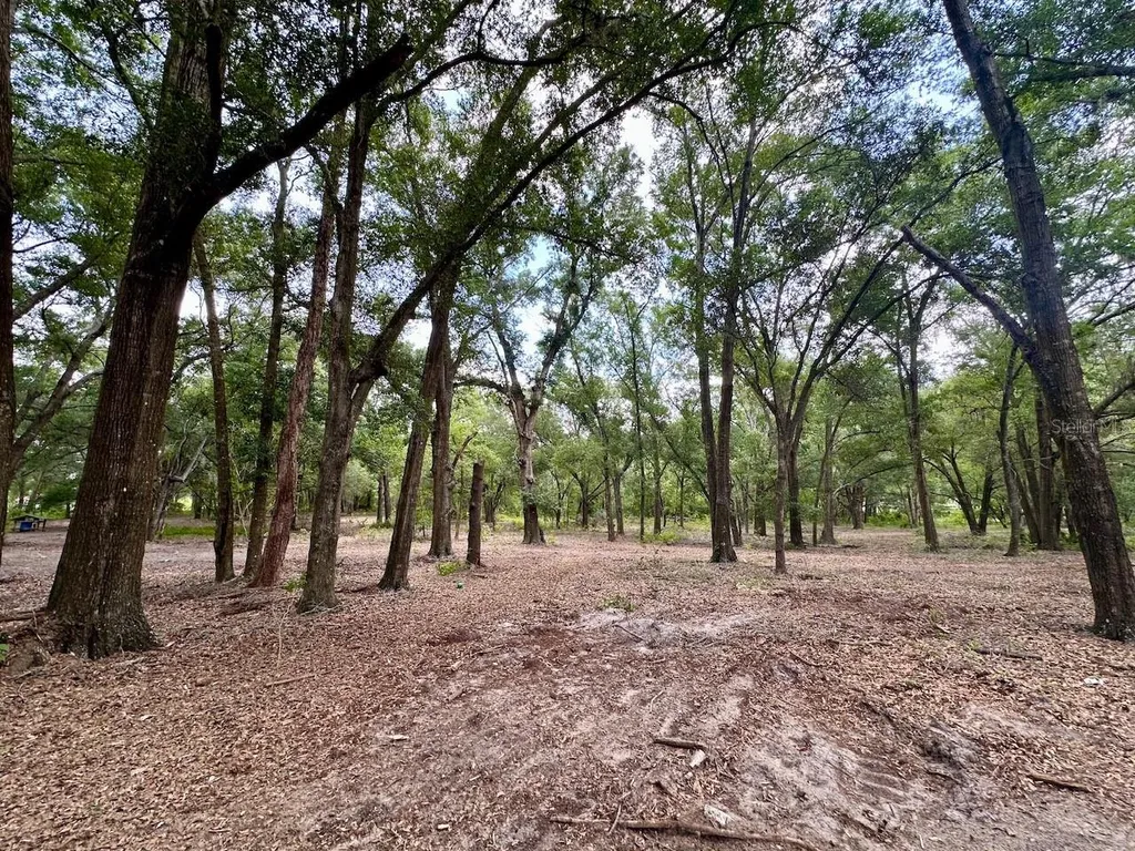 11000 Kitten Trail Hudson FL 34669
