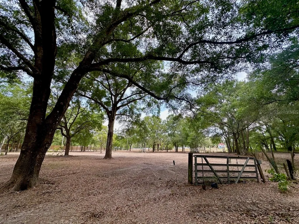 11000 Kitten Trail Hudson FL 34669