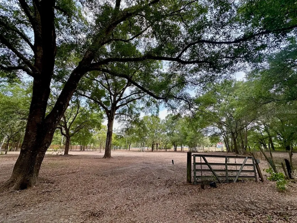 11000 Kitten Trail Hudson FL 34669