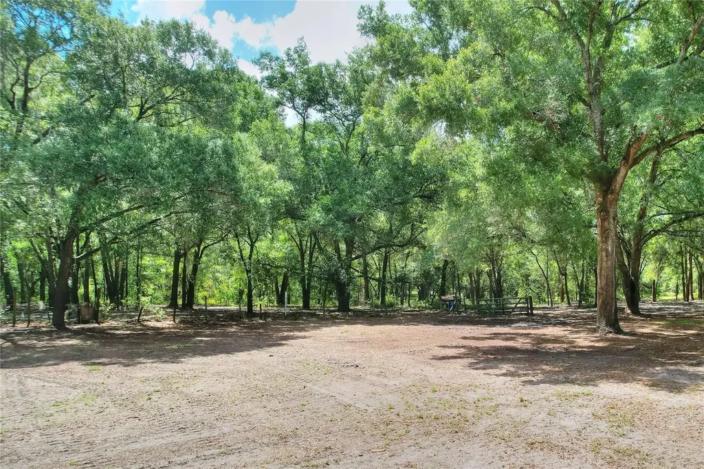 11000 Kitten Trail Hudson FL 34669