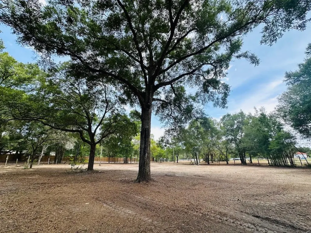 11000 Kitten Trail Hudson FL 34669