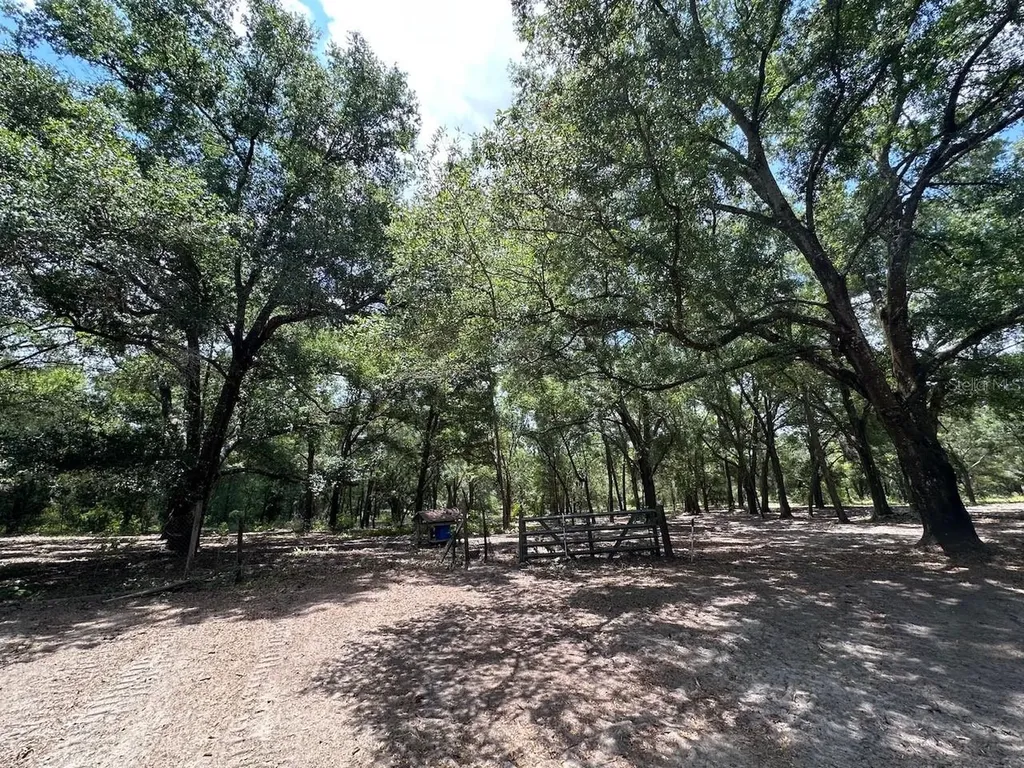 11000 Kitten Trail Hudson FL 34669