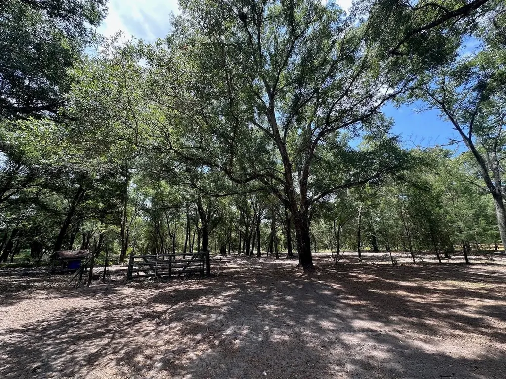 11000 Kitten Trail Hudson FL 34669