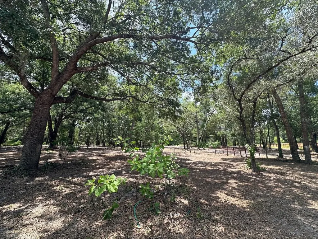 11000 Kitten Trail Hudson FL 34669