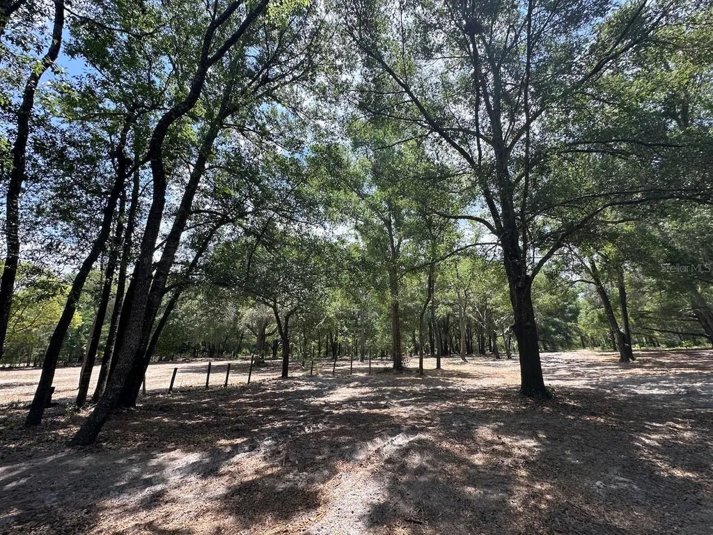 11000 Kitten Trail Hudson FL 34669