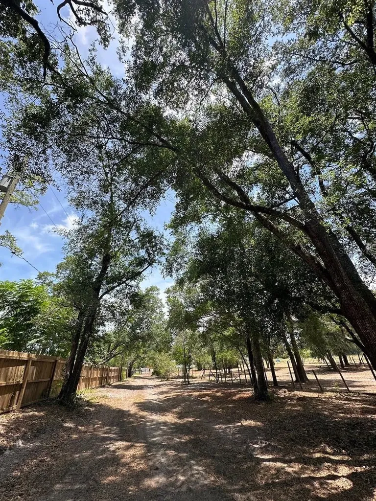 11000 Kitten Trail Hudson FL 34669