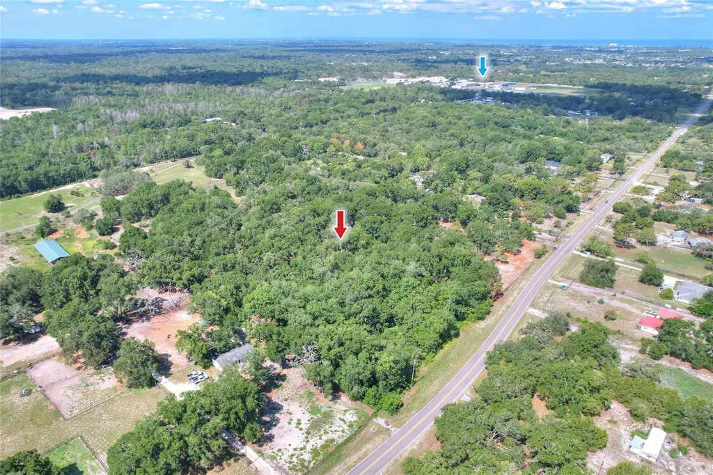 11000 Kitten Trail Hudson FL 34669