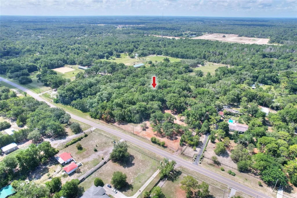 11000 Kitten Trail Hudson FL 34669