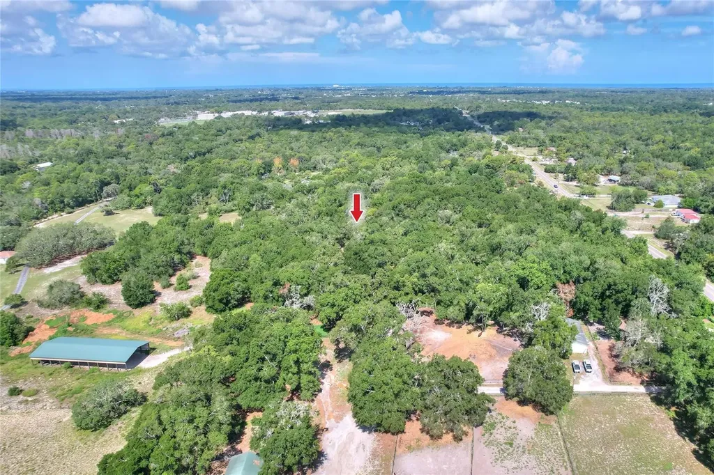 11000 Kitten Trail Hudson FL 34669