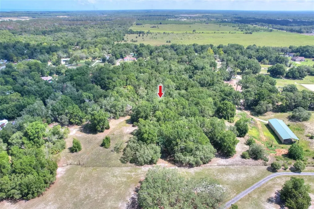 11000 Kitten Trail Hudson FL 34669