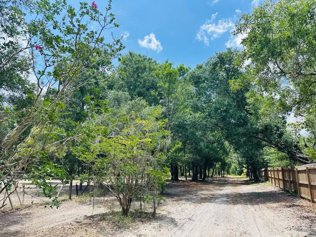 11000 Kitten Trail Hudson FL 34669