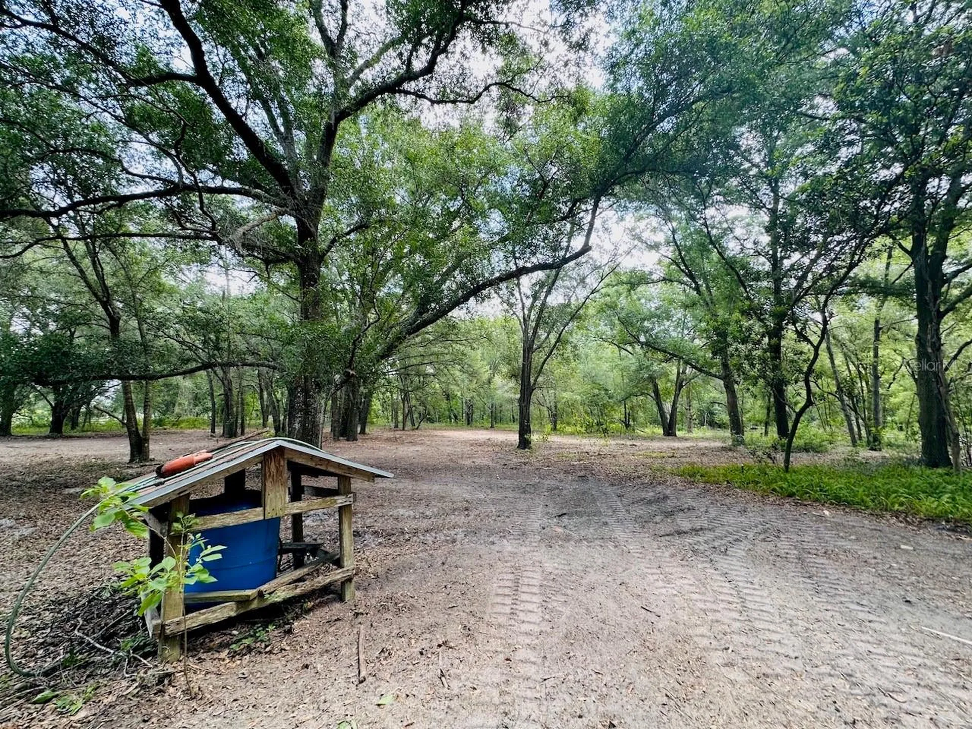11000 Kitten Trail Hudson FL 34669