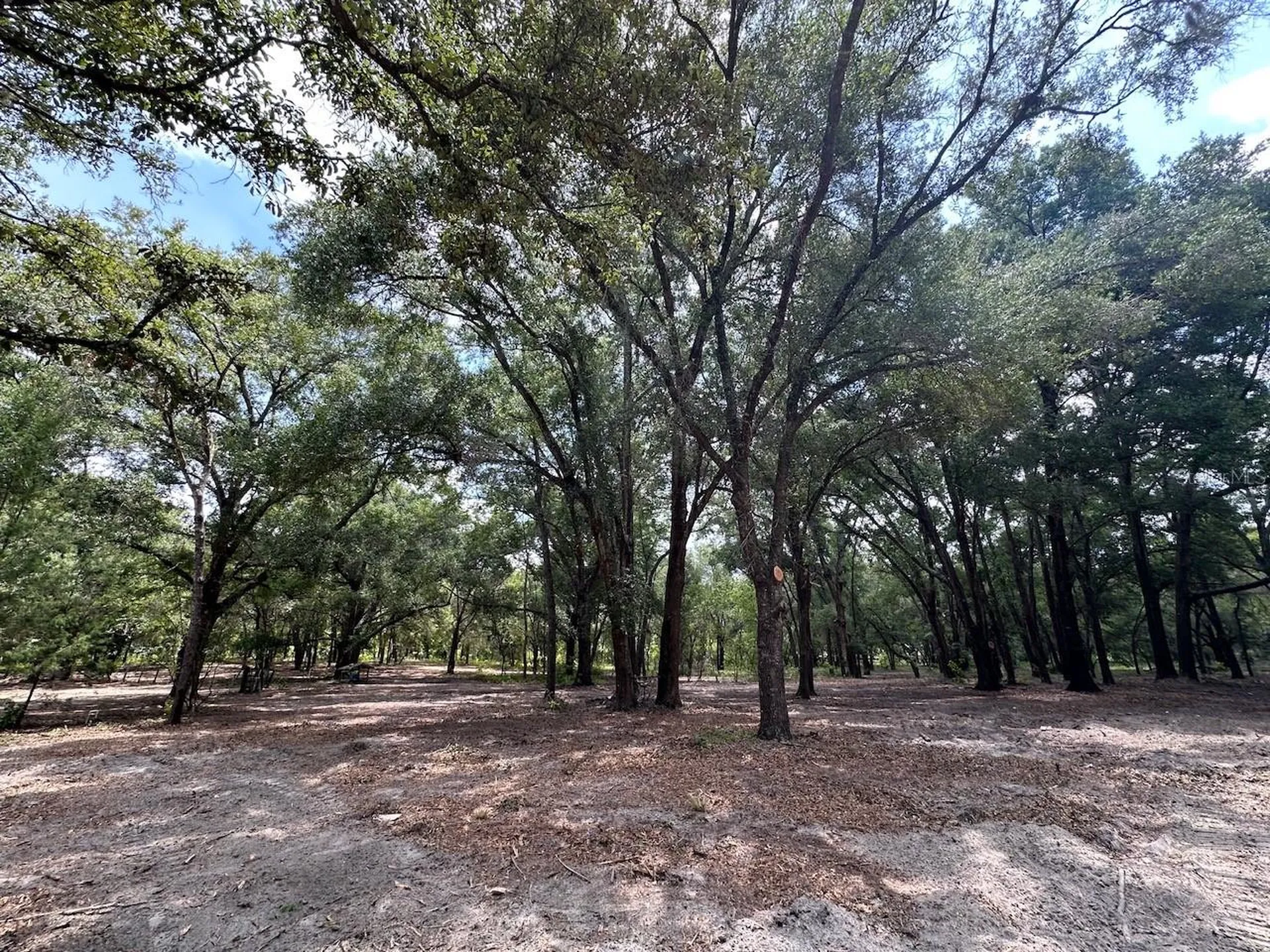 11000 Kitten Trail Hudson FL 34669