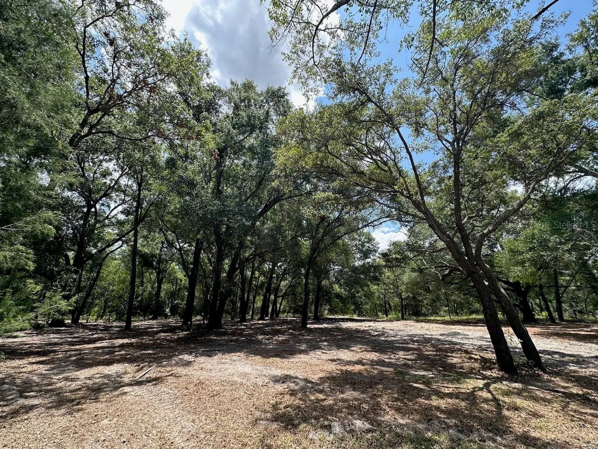11000 Kitten Trail Hudson FL 34669