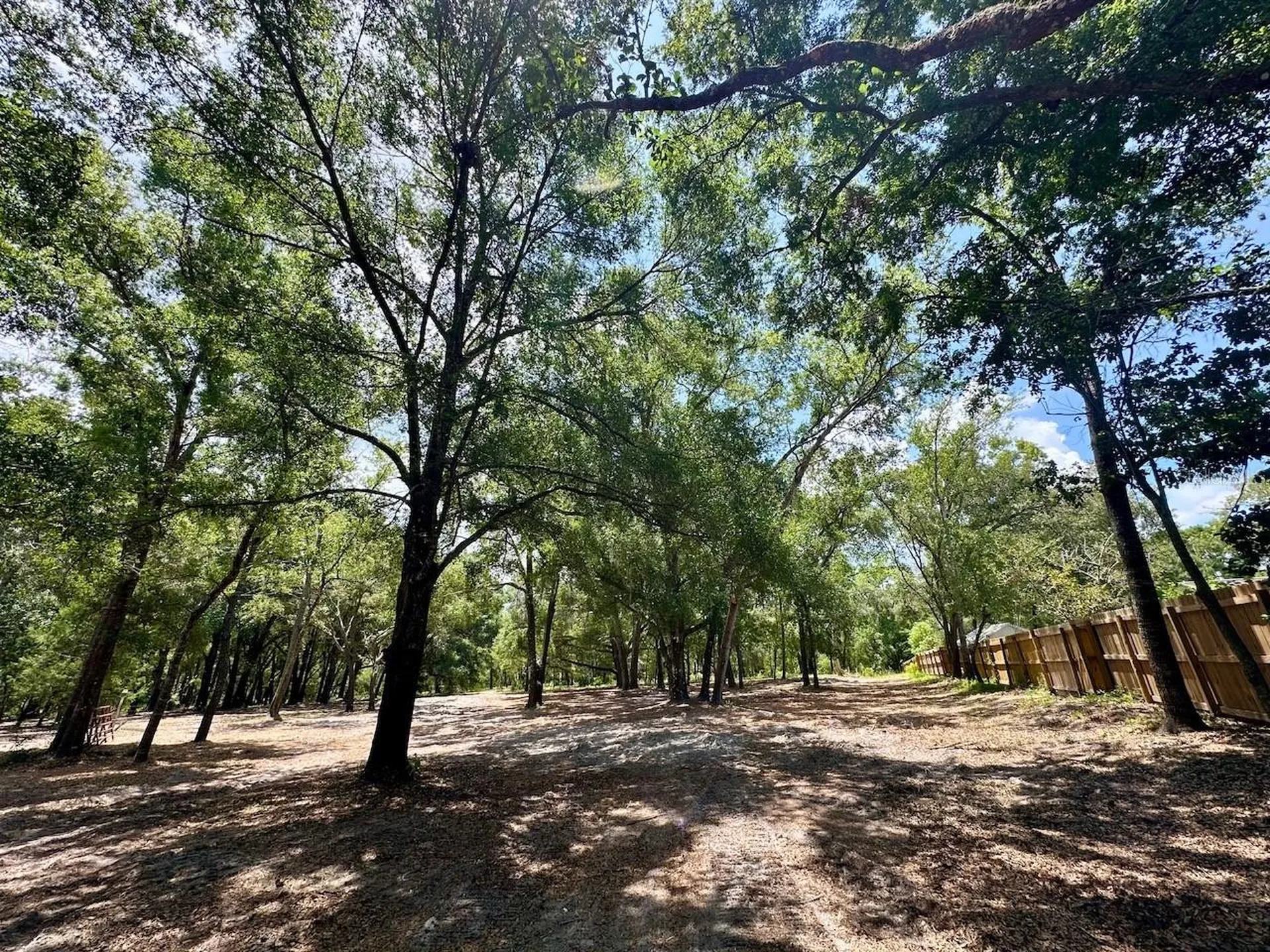 11000 Kitten Trail Hudson FL 34669
