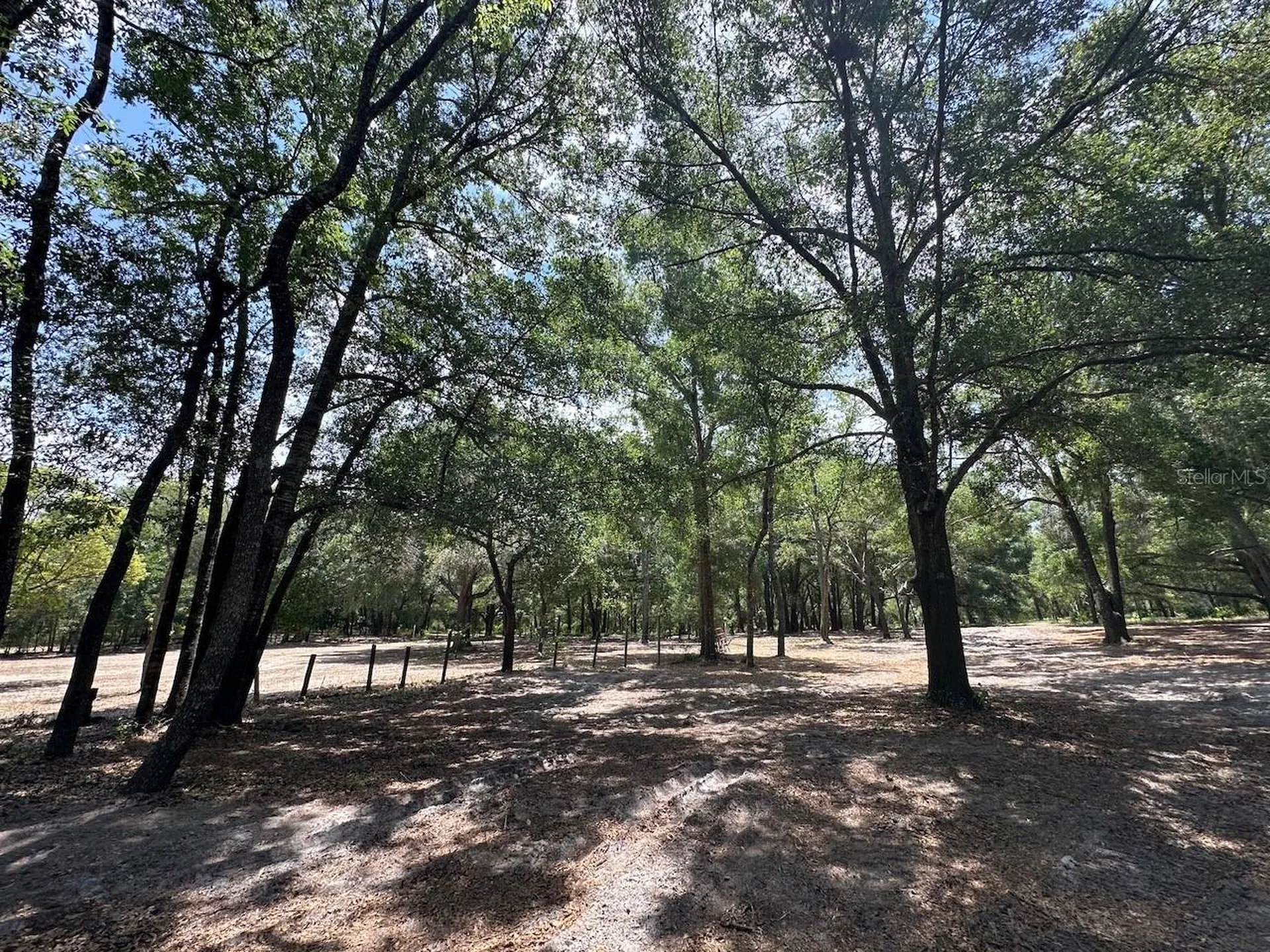 11000 Kitten Trail Hudson FL 34669