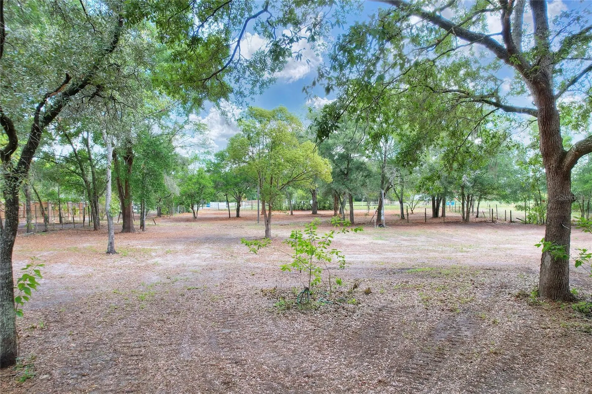 11000 Kitten Trail Hudson FL 34669