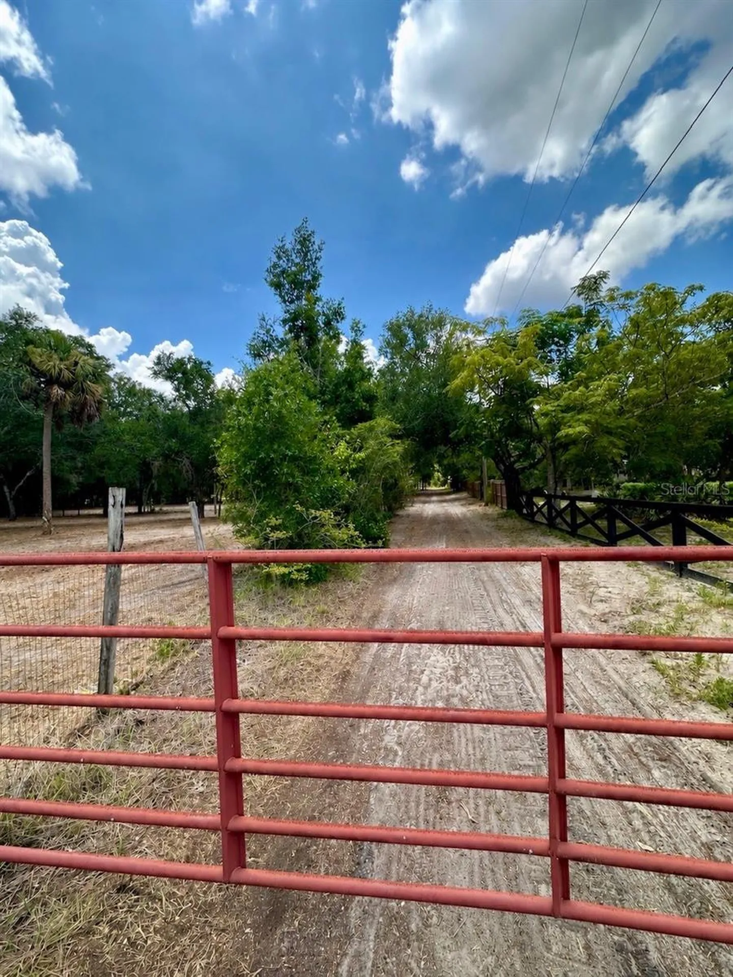 11000 Kitten Trail Hudson FL 34669