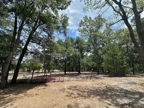 11000 Kitten Trail Hudson FL 34669