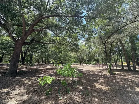 11000 Kitten Trail Hudson FL 34669