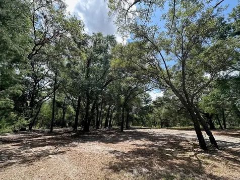 11000 Kitten Trail Hudson FL 34669
