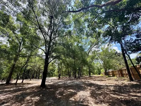 11000 Kitten Trail Hudson FL 34669