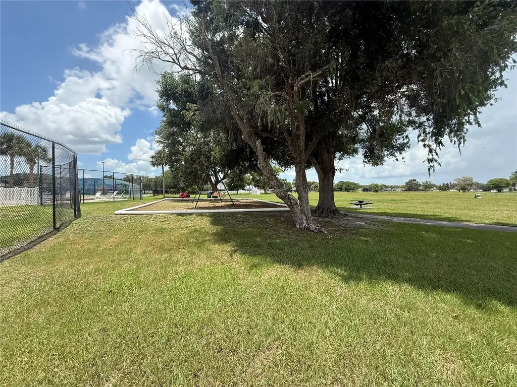 10009 Regal Woods Lane Tampa FL 33624