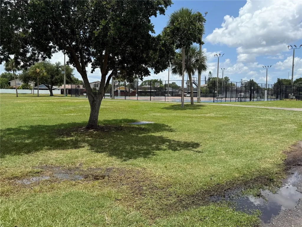 10009 Regal Woods Lane Tampa FL 33624