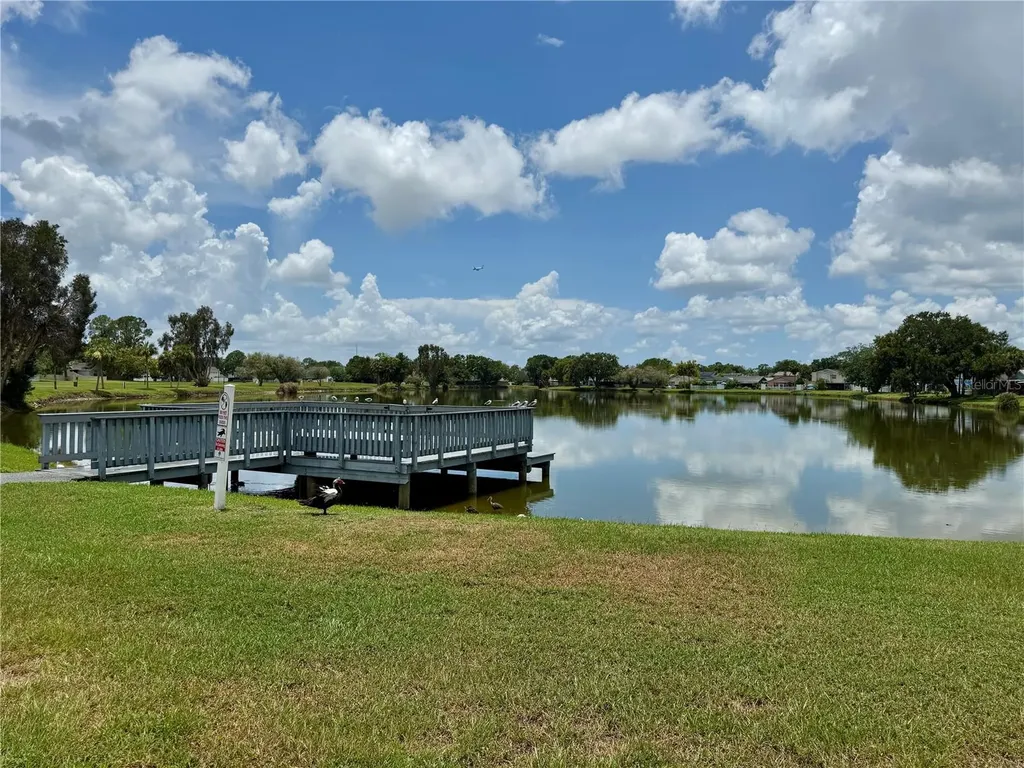 10009 Regal Woods Lane Tampa FL 33624