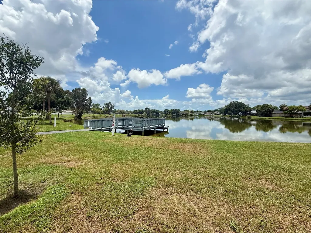 10009 Regal Woods Lane Tampa FL 33624