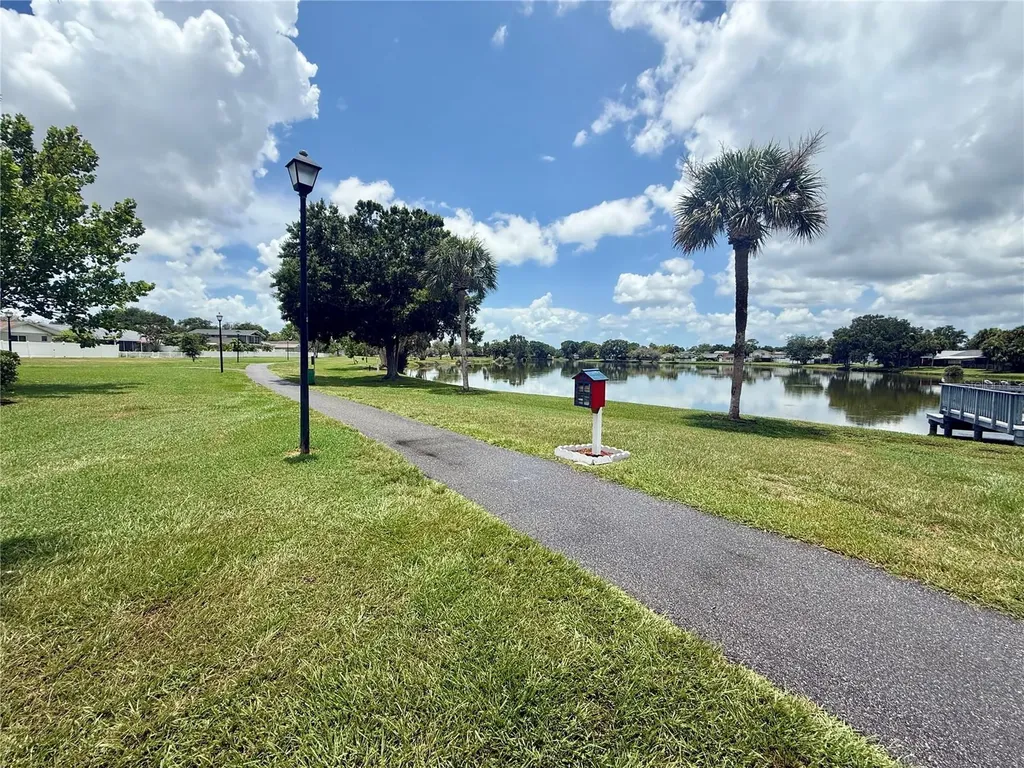 10009 Regal Woods Lane Tampa FL 33624